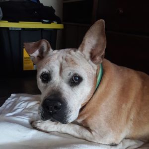 Meet your Posher, Cheryl